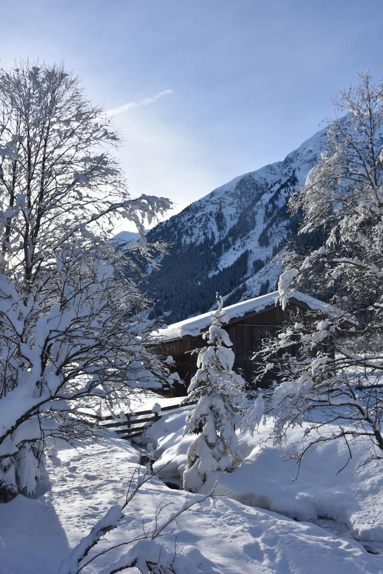 Haus Marco Apartman Neustift im Stubaital Kültér fotó