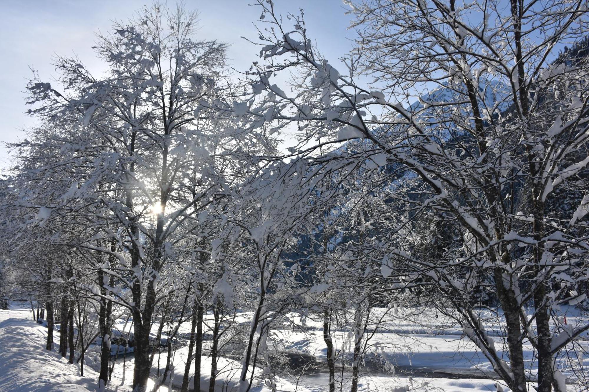 Haus Marco Apartman Neustift im Stubaital Kültér fotó