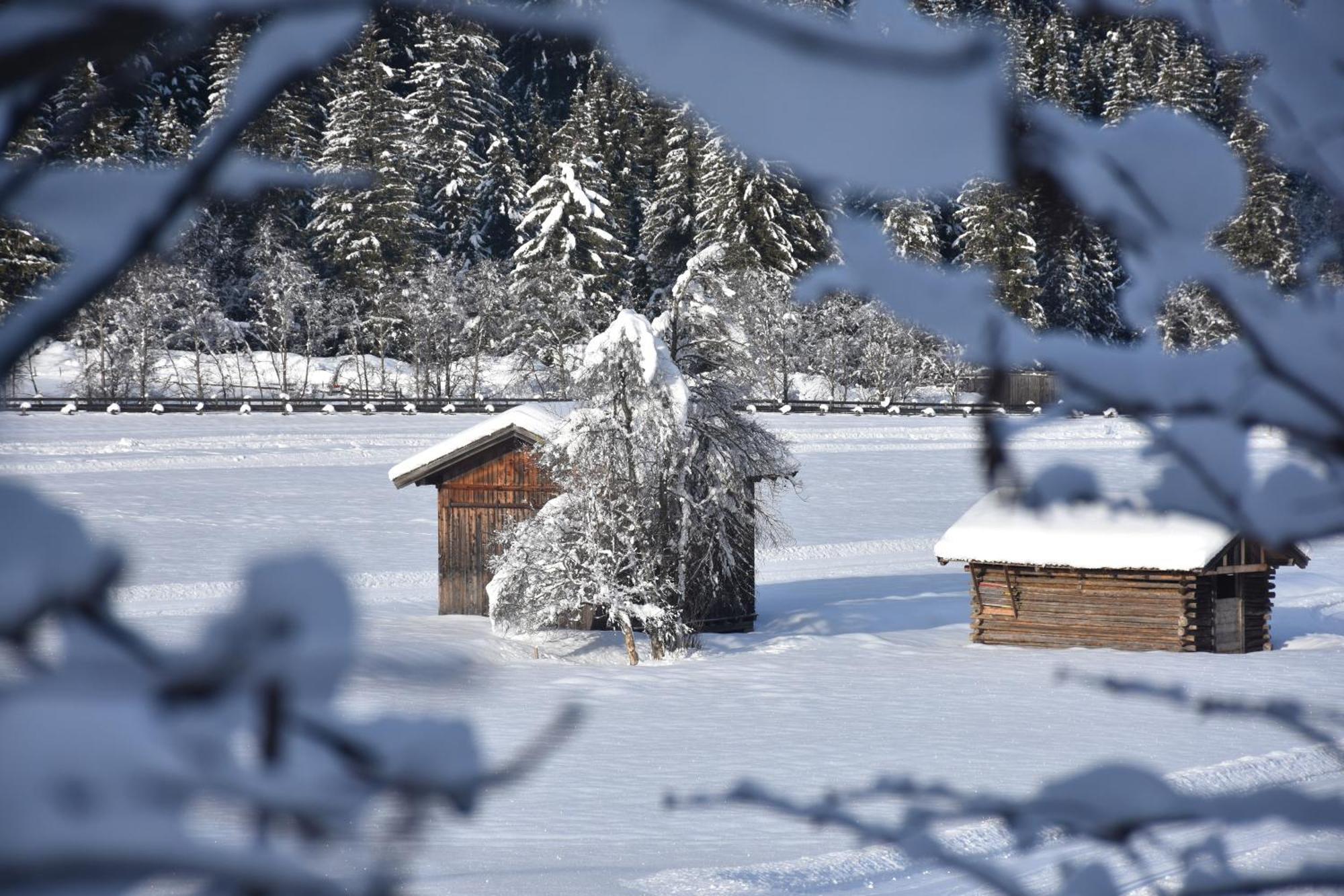 Haus Marco Apartman Neustift im Stubaital Kültér fotó