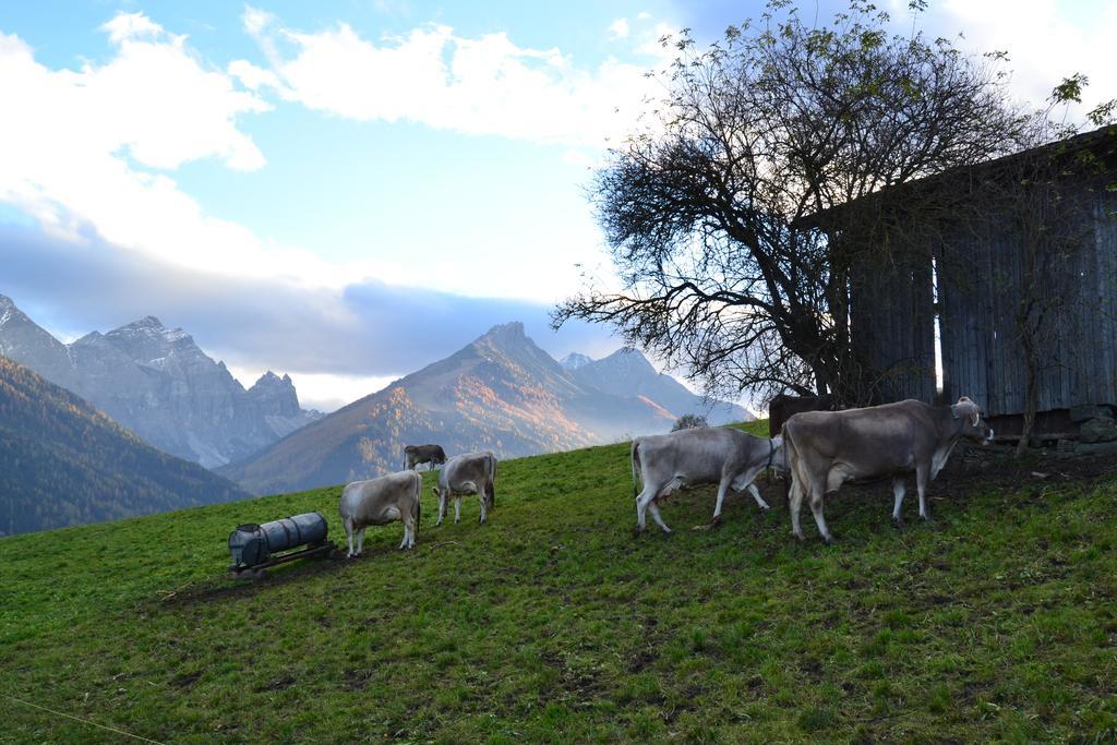 Haus Marco Apartman Neustift im Stubaital Kültér fotó