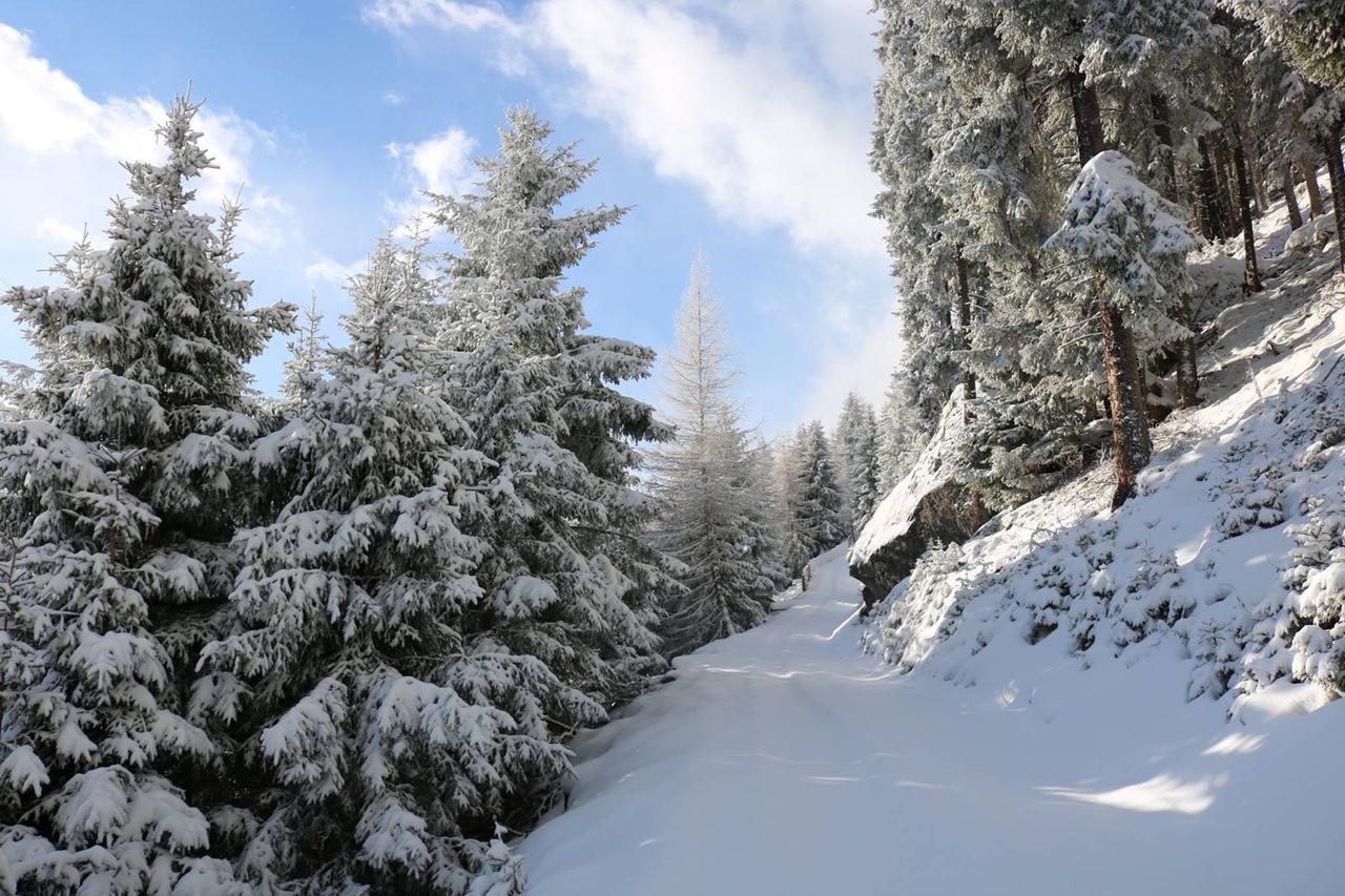 Haus Marco Apartman Neustift im Stubaital Kültér fotó